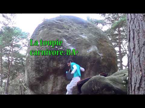 Fontainebleau Autumn 2017, Nicolas Pelorson