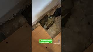 ✅ Fireplace Repair…#repair #concrete #howto #teirnanmccorkell #diy #flooring #fyp #perfect #home