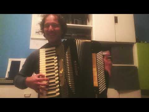 Damir Tkavc - Alpska polka (mojansambel.si)
