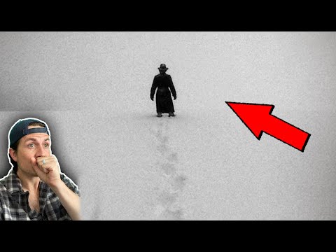 Top 3 SCARIEST stalkers in the wild | Missing 411 (Part 17)