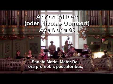 AVE MARIA de Gombert