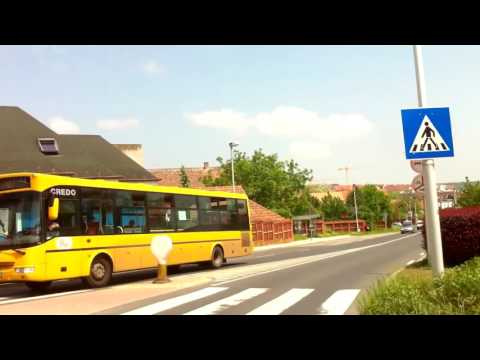 Sopron 5Y járat; Jereván lakótelep - Ipar körút, AWF Kft.