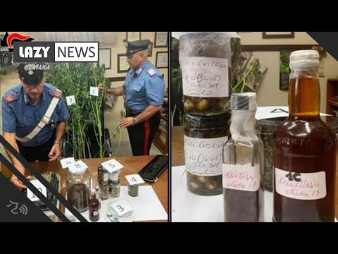 Italian chef arrested on drug charges claimed he was 'researching new flavors,' reports say