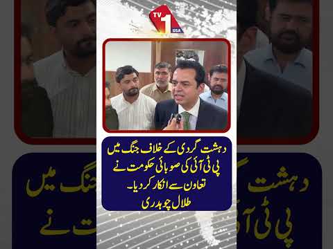 دہشت گردی کے خلاف تعاون سے انکار؟ طلال چوہدری