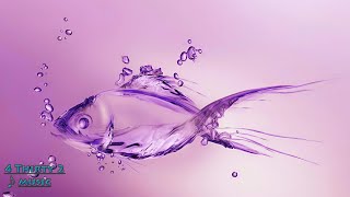 PAVLO - THIEF (INF1N1TE & KONUS REMIX) 432hz [Dubstep]