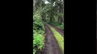 Simon Lynge - For Love (new song DEMO)