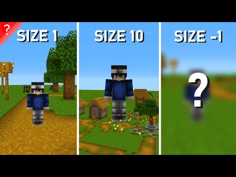 UNBELIEVABLE: I SHRUNK PLAYERS IN MINECRAFT!