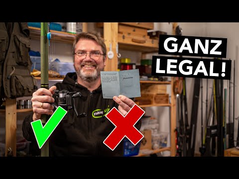 Angeln ohne Angelschein: Diese Ausnahmen gibt es in Deutschland! 🎣