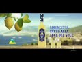 Limoncetta limoncello spot 2019   YouTube