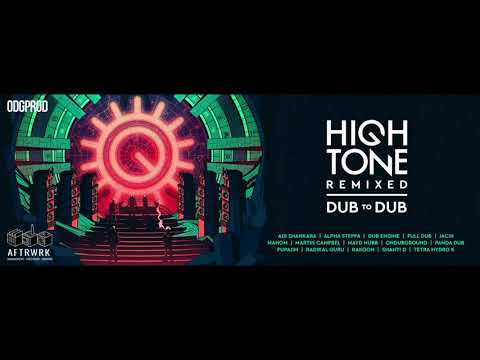 High Tone ft Shanti D - Dry [Roots Raid Remix] + Riddim