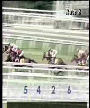 DaMaCai 3-Year-Old Championship