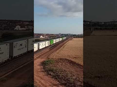 Teco de Transfesa Algeciras-Zaragoza con la 335013Alcázar de San Juan,(Ciudad Real)19/05/2023