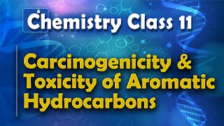 Carcinogenicity and Toxicity of Aromatic Hydrocarbons - Aromatic Compounds - Chemistry Class 11