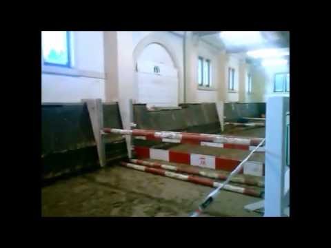 2,5j Hengst von Quasimodo van de Molendreef aus der Raffinesse