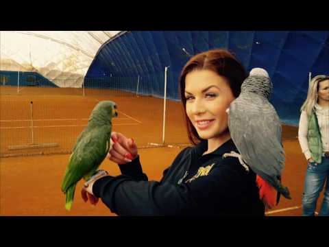 Sandra B. - A story about one angel