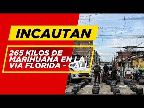 🚔 Policía incauta 265 kilos de marihuana en la vía Florida – Cali.