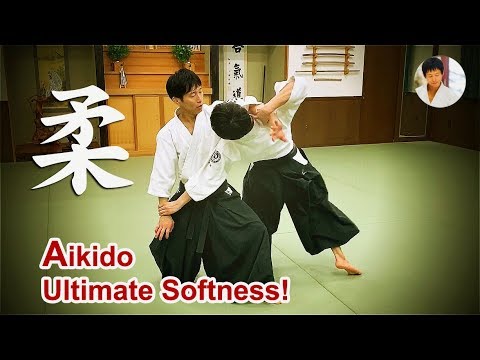 Ultimate softness! Amazing Aikido - Shirakawa Ryuji shihan