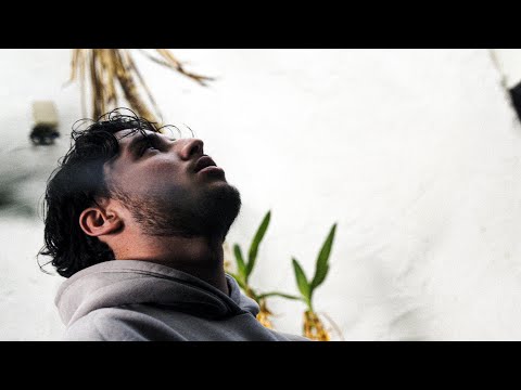 MINI LADRAO   - FEMME PARISIENNE ( Clip officiel )