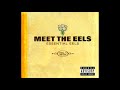 Eels - Souljacker Part 1 (2007)