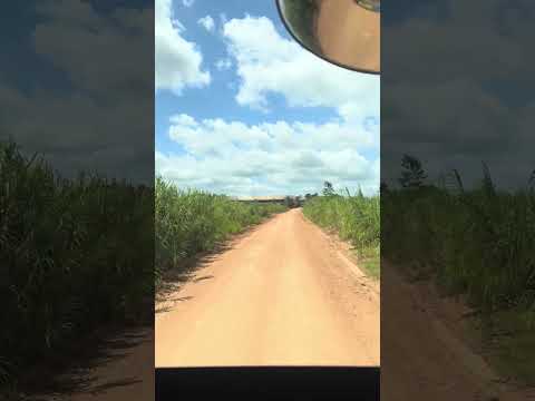 Viagem para São Miguel do Guamá #registrodevida #caminhodaverdade