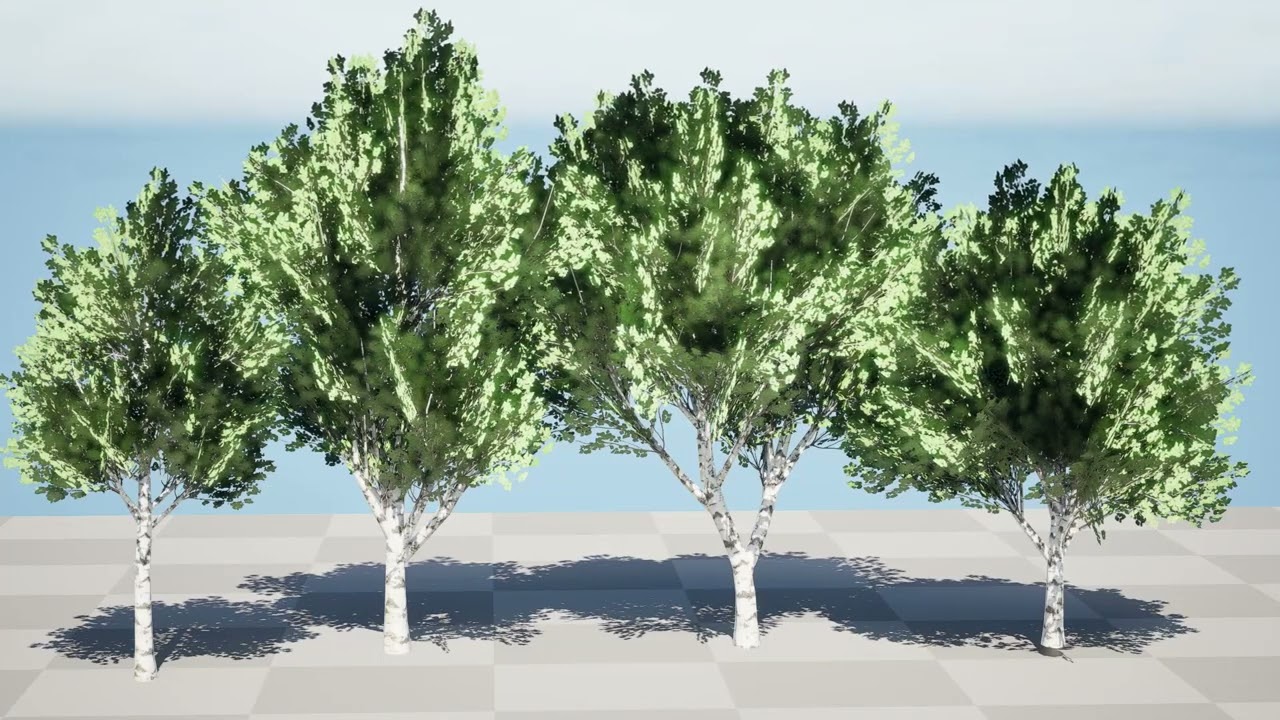 Low Poly Grey Poplar Trees 3D Model