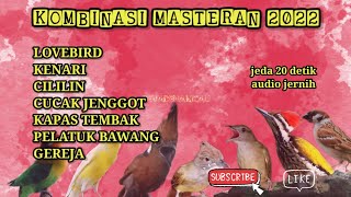 Download lagu Kombinasi masteran terbaru 2022//lovebird,kenari,cililin,jenggot,kapas tembak,pelatuk bawang,gereja mp3