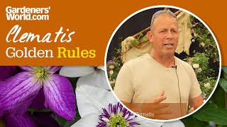 Caring for clematis - Golden Rules
