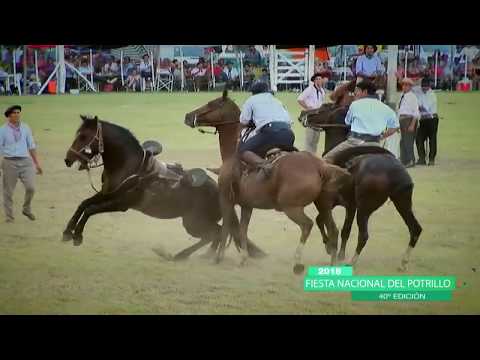 11 Domingo Broche de Oro