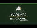 Selena Gomez & Marshmello - Wolves - LOWER Key (Piano Karaoke / Sing Along)