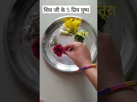 Shiv ji ke five favourite flowers 🌼🌼🌼#shortvideo #shiv #poojatren #trending #religion