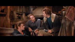 Seven Brides for Seven Brothers (1954) Video