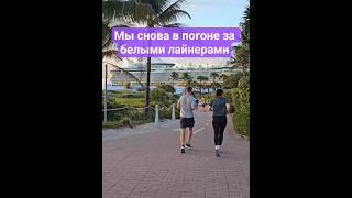 Мы снова в погоне за белыми лайнерами #miami #cruiseship #cruisetour #cruise #4k