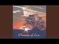 Promises of Love