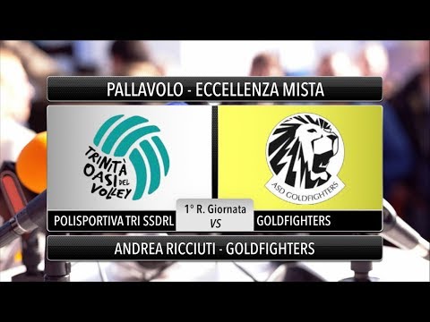 Intervista Goldfighters - Andrea Ricciuti