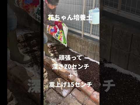 枯れ葉で培養土を作る理由と作り方は？  庭園