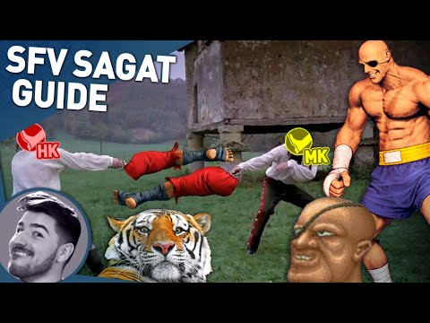The Complete Guide to Playing SFV Sagat (One Weird Trick That TIGERS Don't Want You to Know)