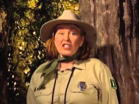 Roseanne Barr - Teddy Bear Picnic - [Official Music Video]