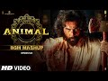 ANIMAL BGM (Mashup): Ranbir Kapoor | Sandeep Reddy Vanga | Harshavardhan Rameshwar | Kedrock
