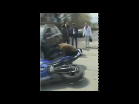 CrashNews.org/Мотоциклист врезался в Субару Форестер в Новосибирске