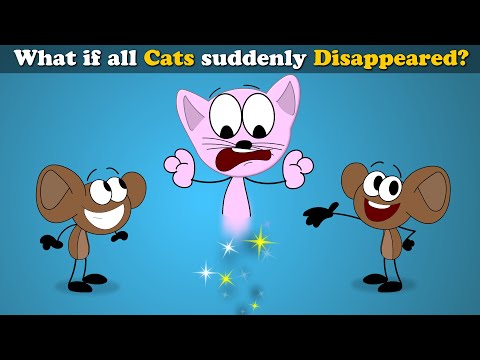 What if all Cats suddenly Disappeared? + more videos | #aumsum #kids #science #education #children