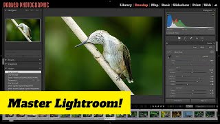 Lightroom Classic 101 for Beginners