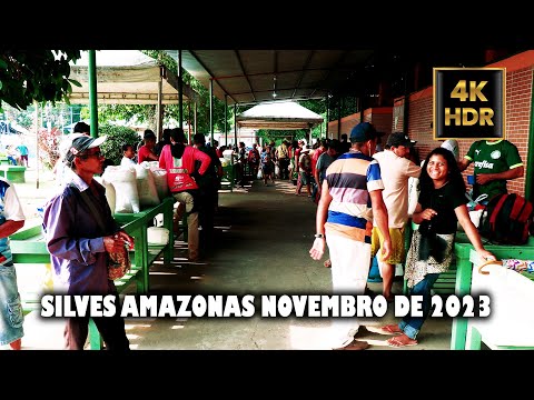 MUNICÍPIO DE SILVES  DO AMAZONAS NOVEMBRO DE 2023