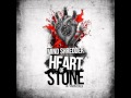 MIND:|:SHREDDER - Heart Of Stone (De/Vision ...