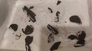 We are making Oreo  Caramel ice-cream