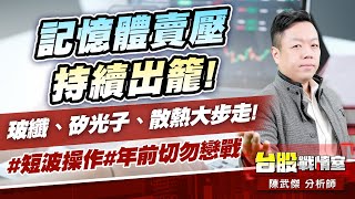 記憶體賣壓持續出籠!玻纖、矽光子、散熱大步走!#短波操作#年前切勿戀戰｜小武哥投資事務所｜陳武傑