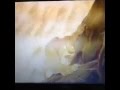 Scar S Last Words To Mufasa