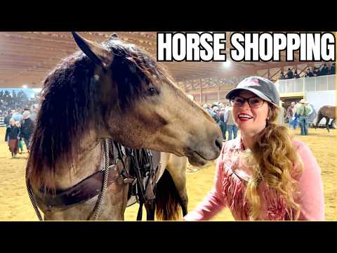 THIS HORSE AUCTION HAS SOME INSANELY GORGEOUS HORSES! Help Me Pick!