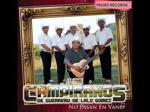 Los Campiranos de Lalo Gómez : Pinotepa nacional En vivo Desde Tlapa de Comonfort
