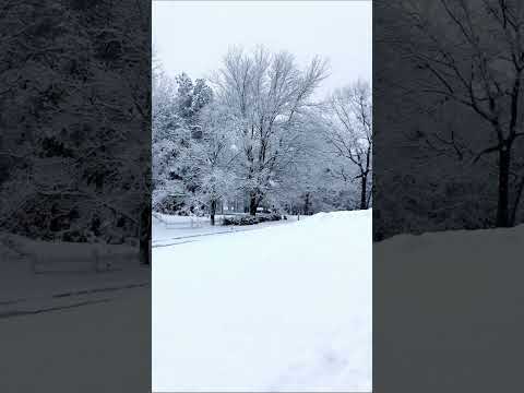 Never stopped choosing you - K.S.O.A.