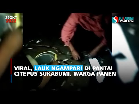 Viral, Lauk Ngampar! di Pantai Citepus Sukabumi, Warga Panen